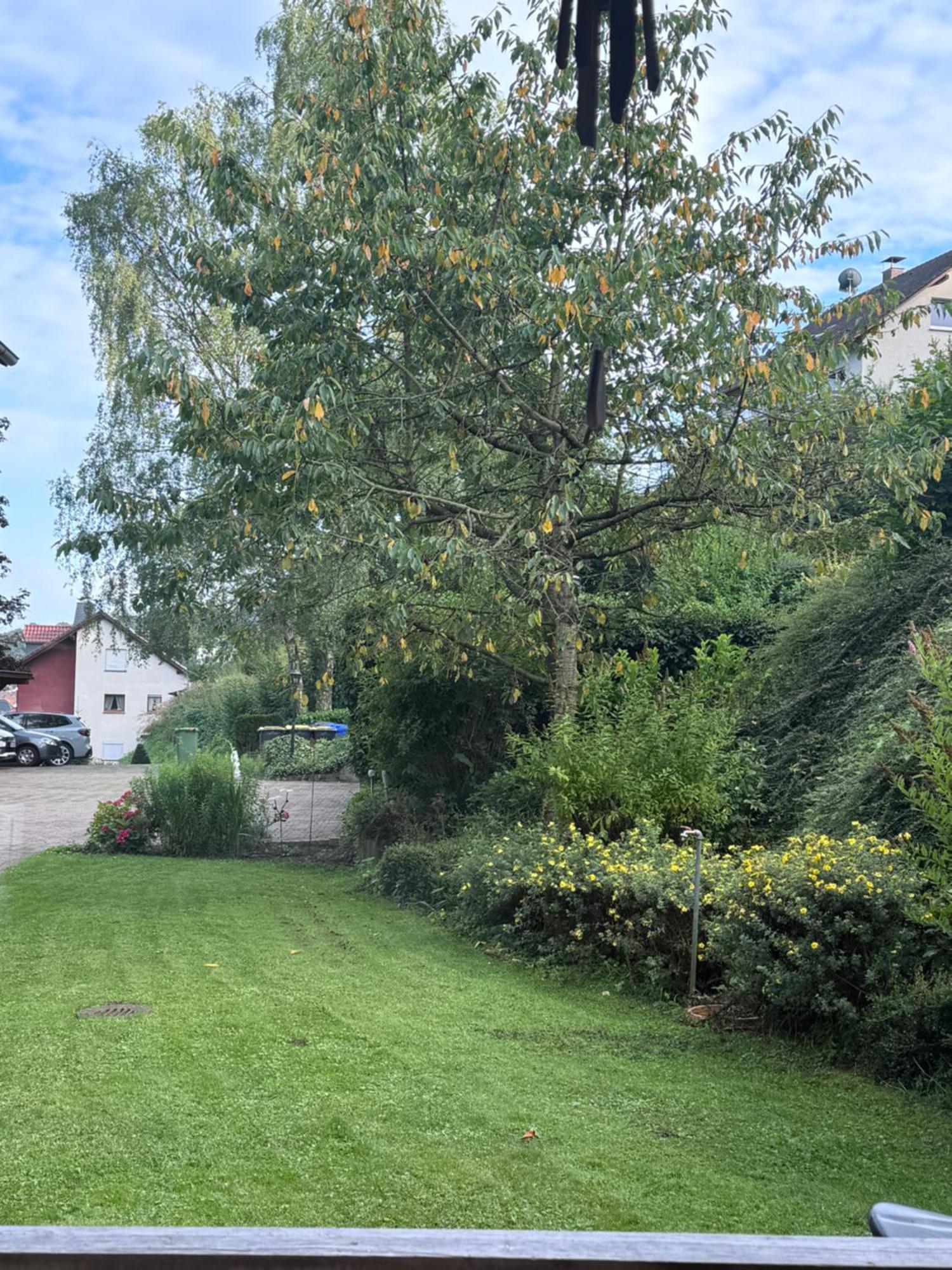 Apartment Zum Aatal Bad Wünnenberg 外观 照片